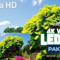 4K vs 8K TV resolution compared — pixel counts and content availability